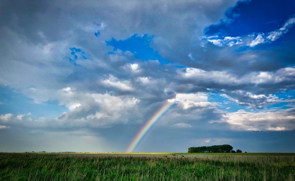 Beyond Happiness, Above Rainbow