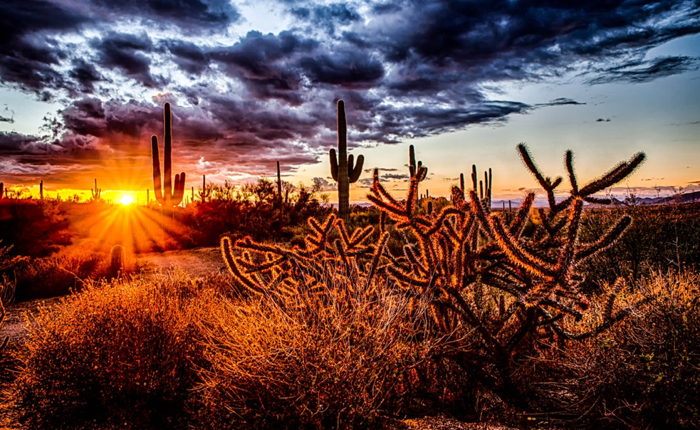 Find Your Inner Zen in the Deserts of Near Scottsdale, AZ