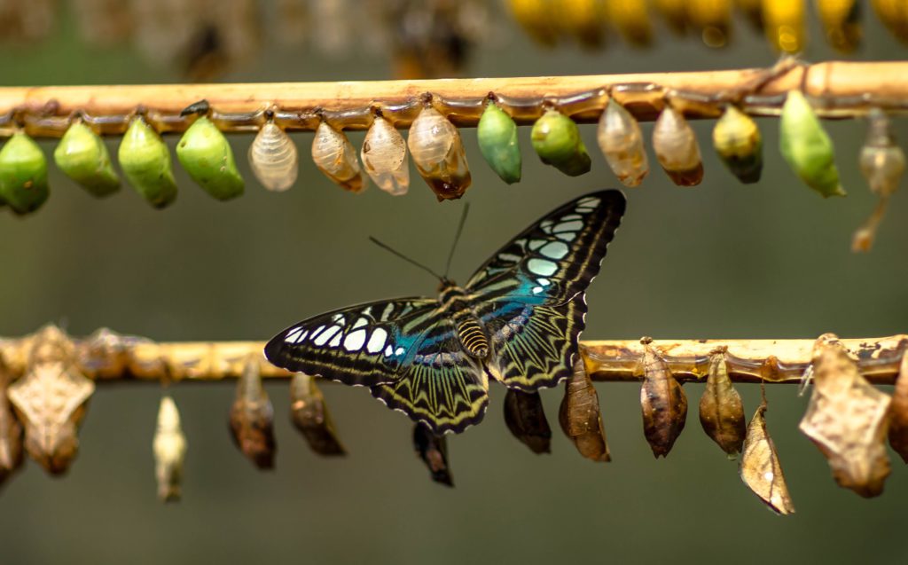 How meditation can help when going through changes