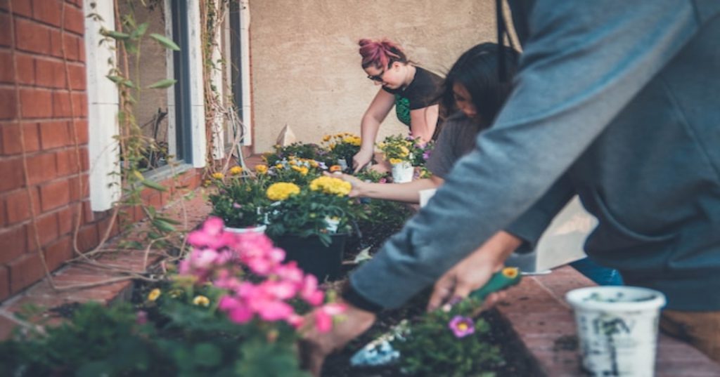 gardening